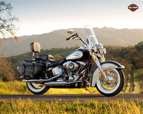 harley davidson heritage softail review.